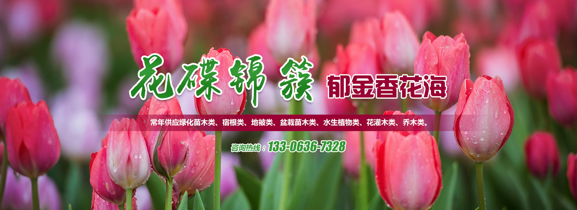 專業亮化工程