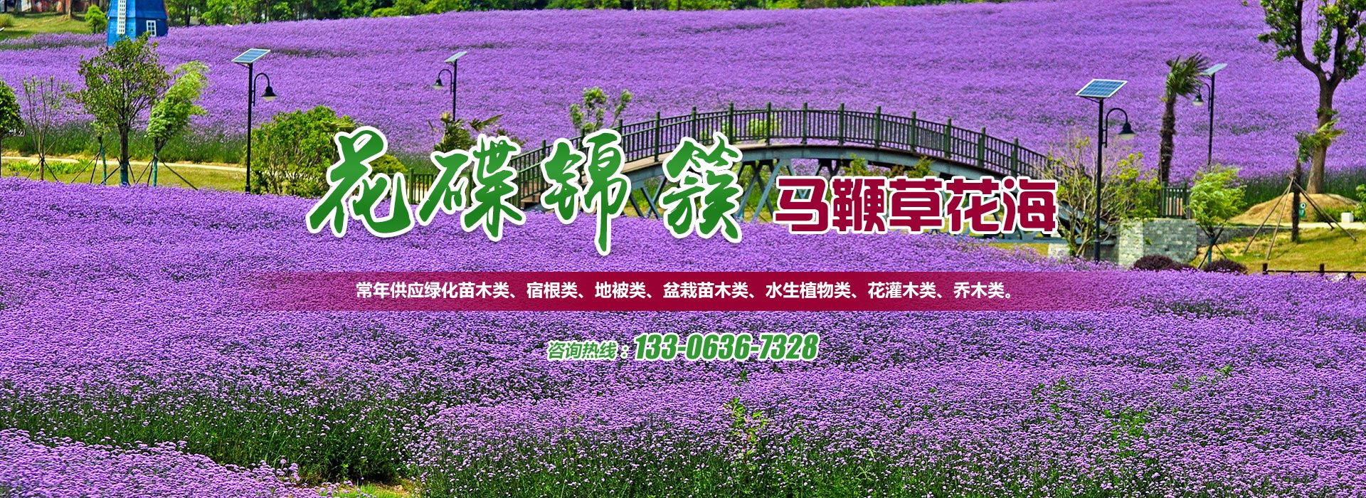 專業亮化工程